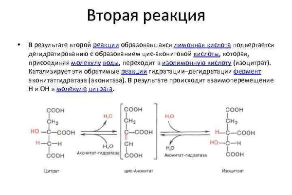 Кракен zerkalo pw